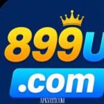 899U Game